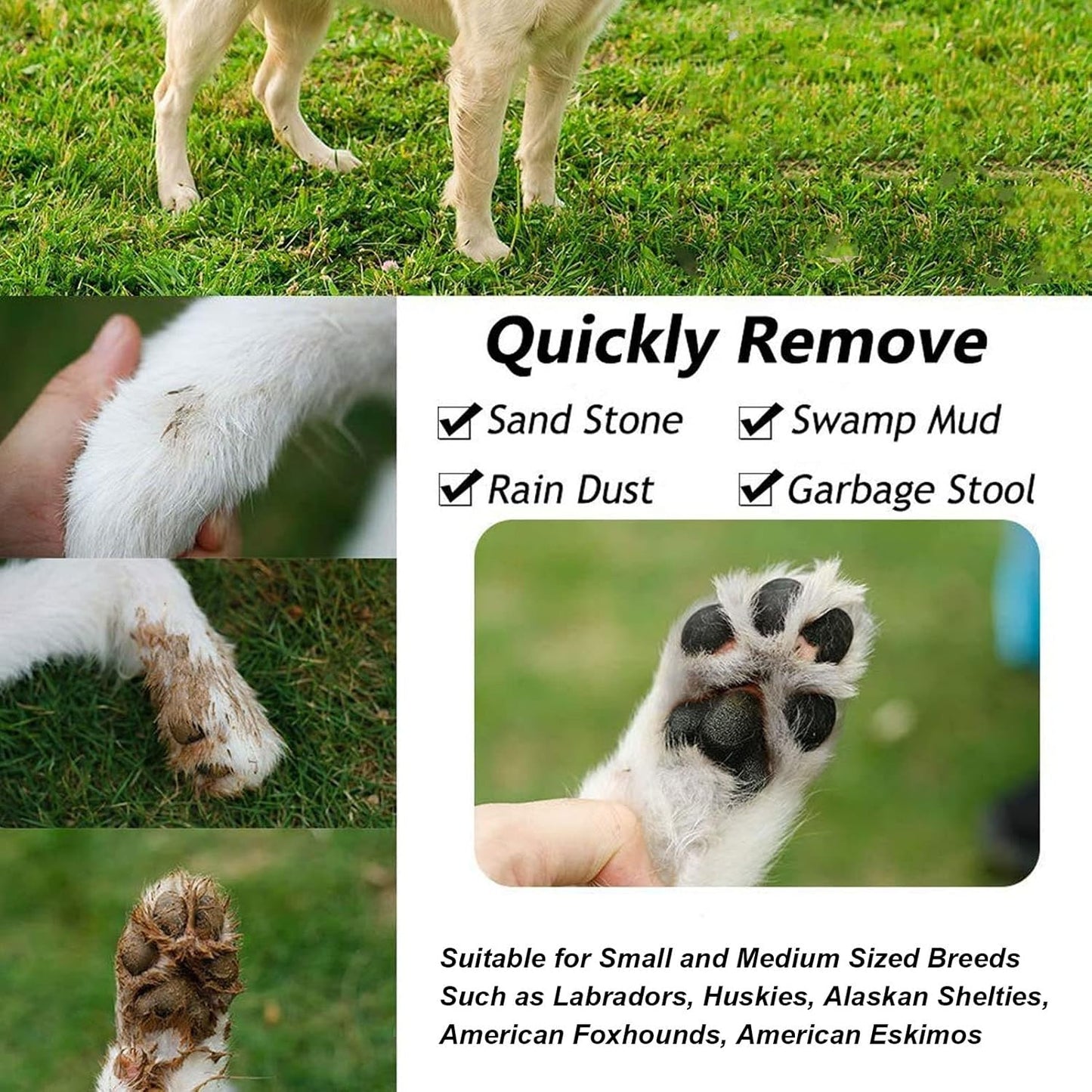 Pawsy™The Rechargeable Automatic Dog Paw Cleaner