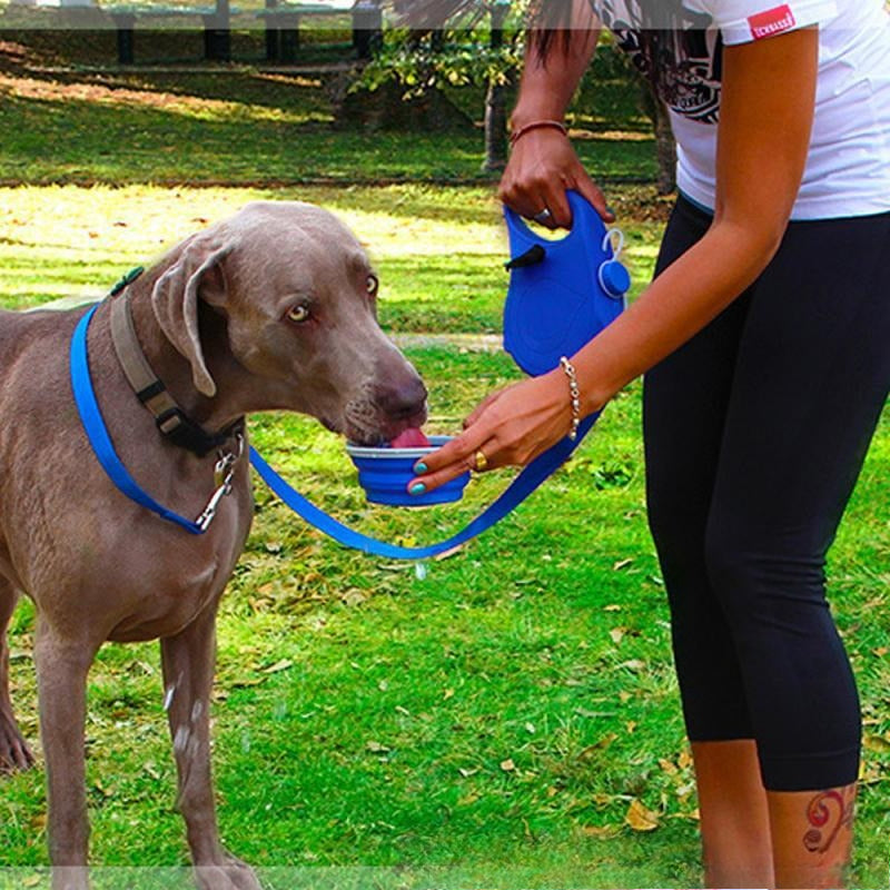 Pawsy™All-in-One Dog Leash with Water Bottle & Bowl